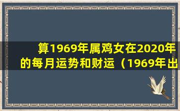 算1969年属鸡女在2020年的每月运势和财运（1969年出生属鸡女 🐘 2020年农历运势及运程每月运程）